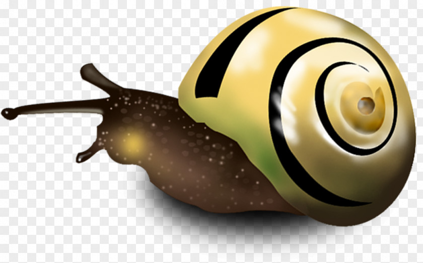 Hand Drawn Snail Pull Creative HD Free Orthogastropoda PNG