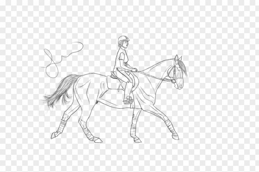 Horse Stallion Bridle Pony Art PNG