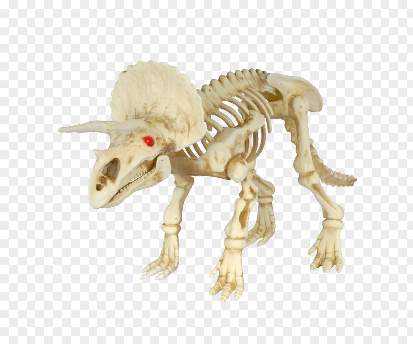 Skeleton Velociraptor Tyrannosaurus Triceratops Dinosaur PNG