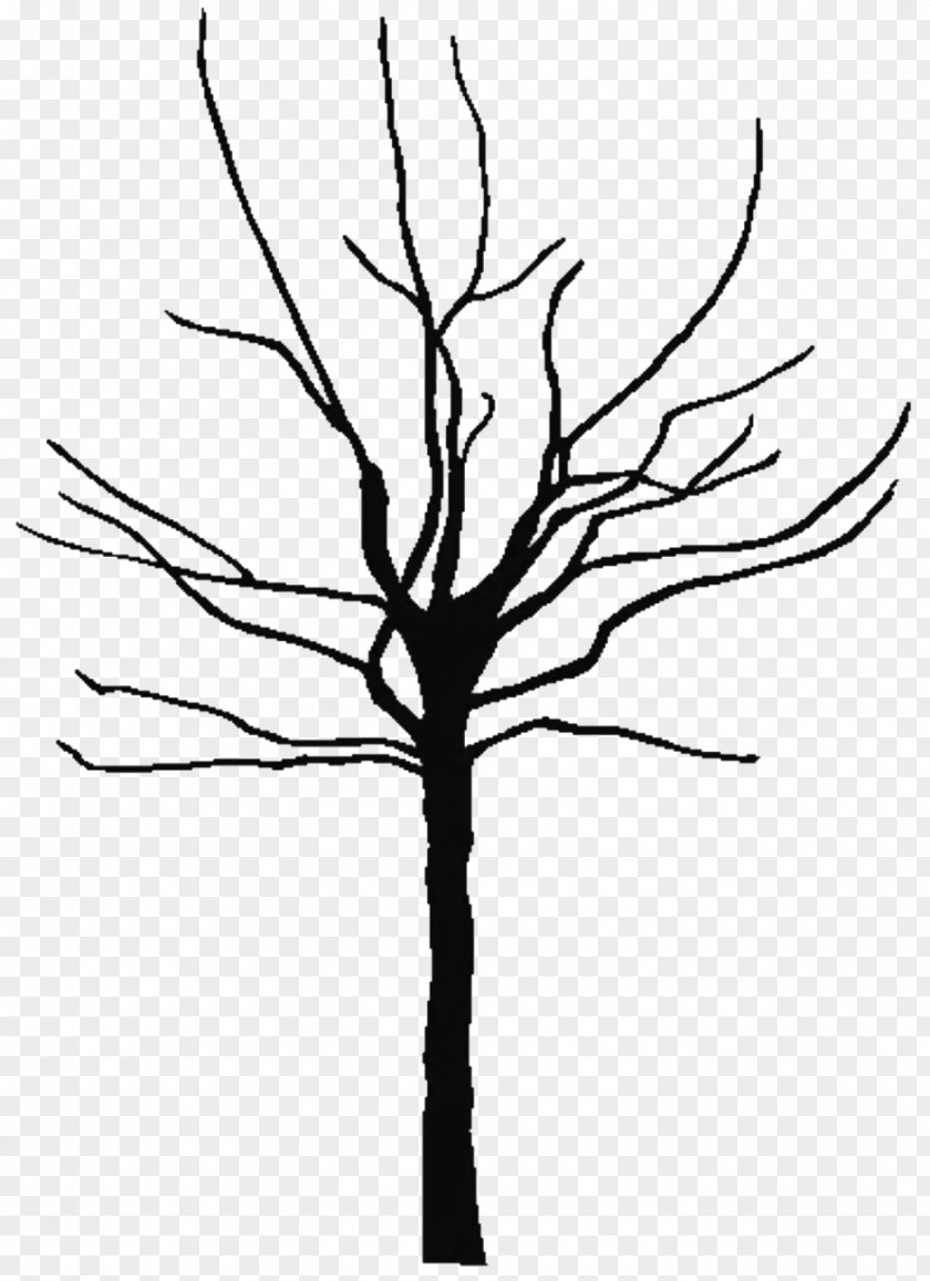 Tree Outline Image Branch Oak Clip Art PNG