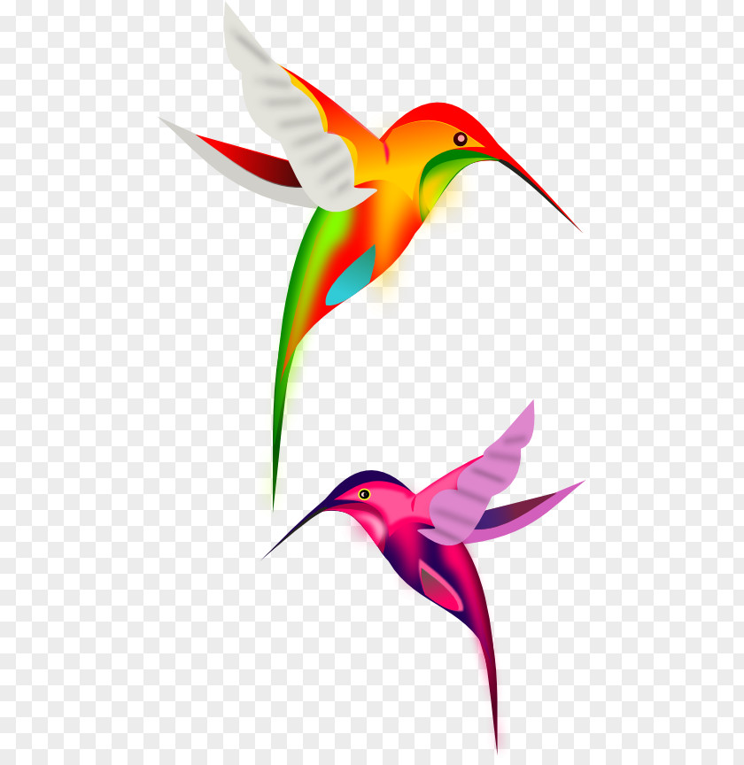 Bird Clip Art PNG