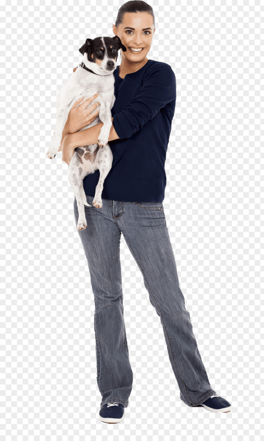 Curtain Call Dog Breed Stock Photography Puppy Training PNG