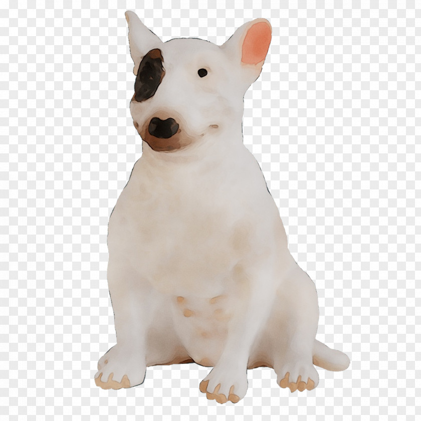 Miniature Bull Terrier And Dog Breed English White PNG