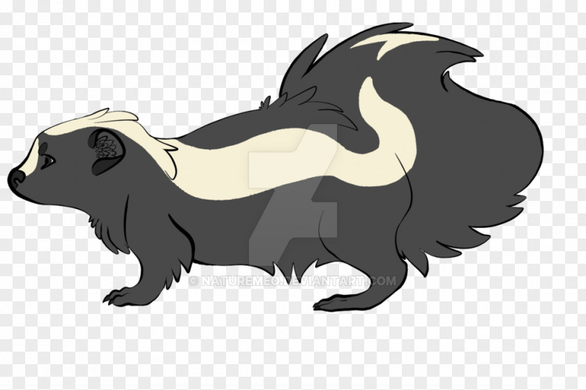 Skunk Dog Bear Mammal Carnivora PNG