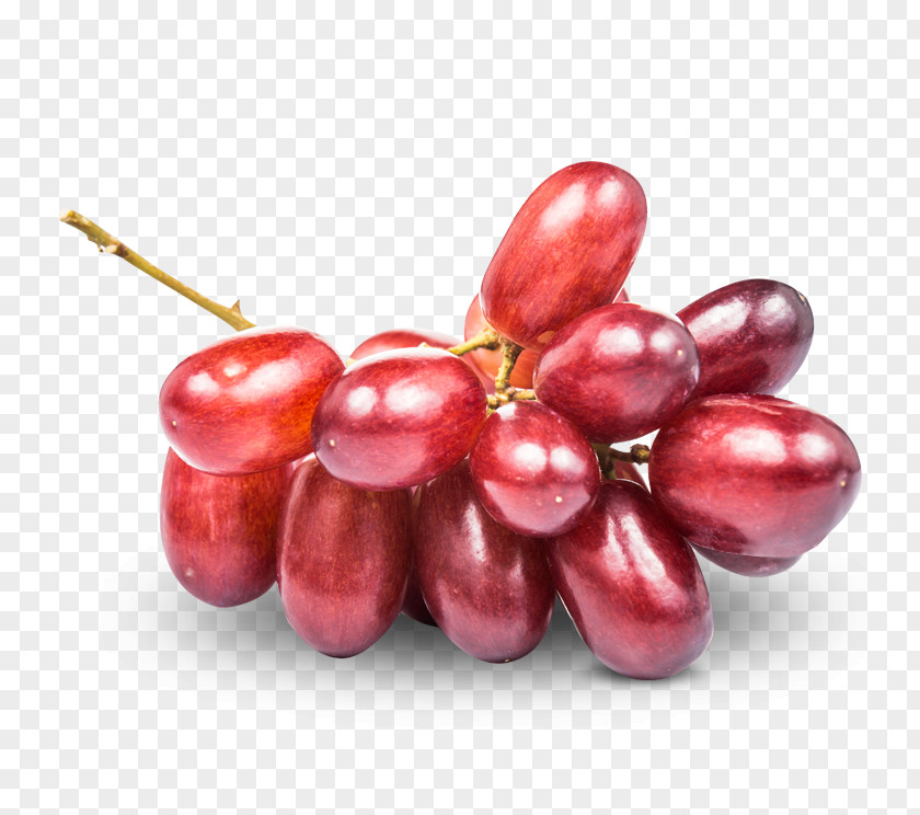 Summer Fruits Cranberry Grape Dried Fruit Blueberry PNG