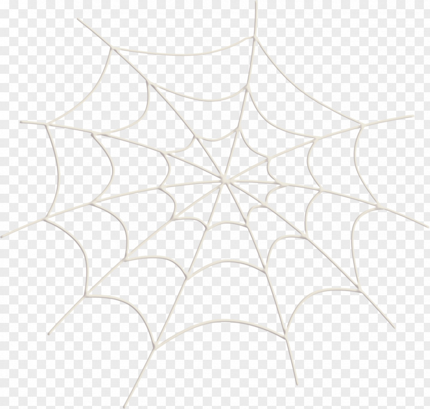 Vector Spider Web White Symmetry Structure Pattern PNG