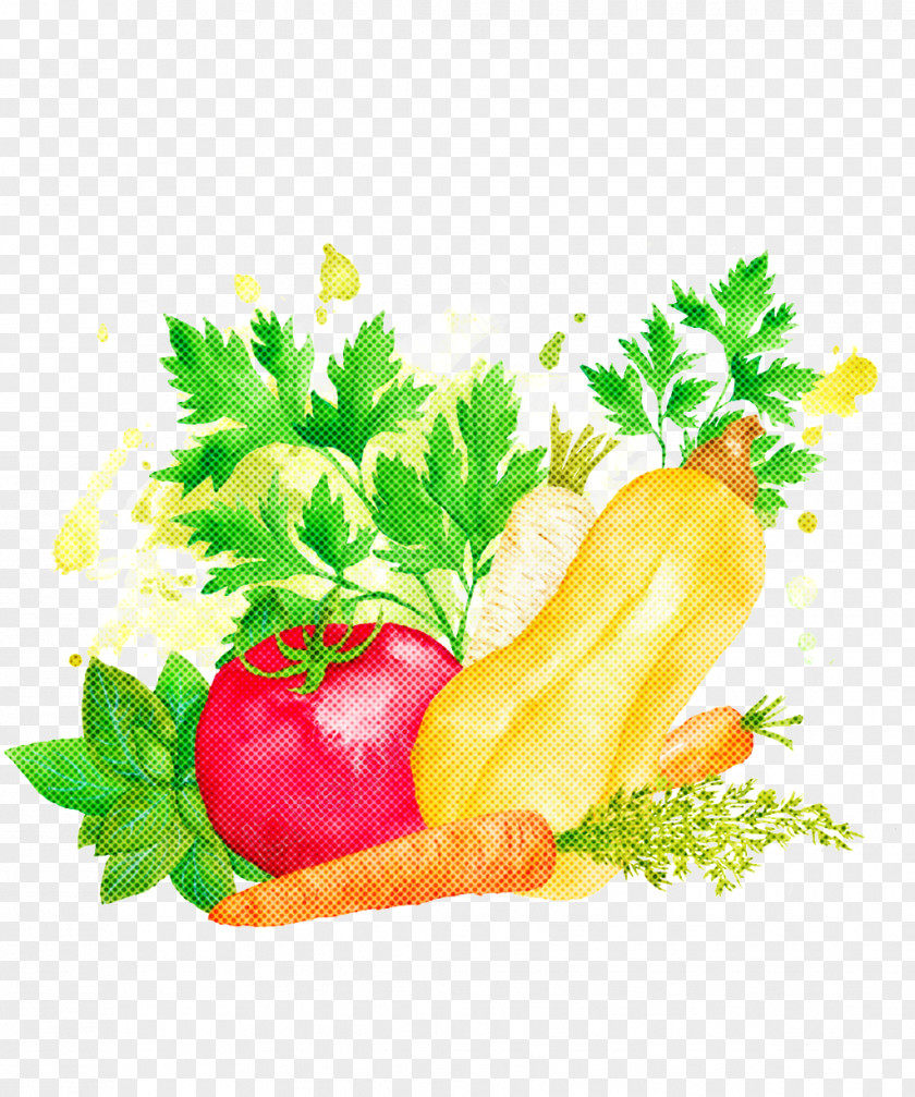 Vegetarian Food Plant Parsley PNG