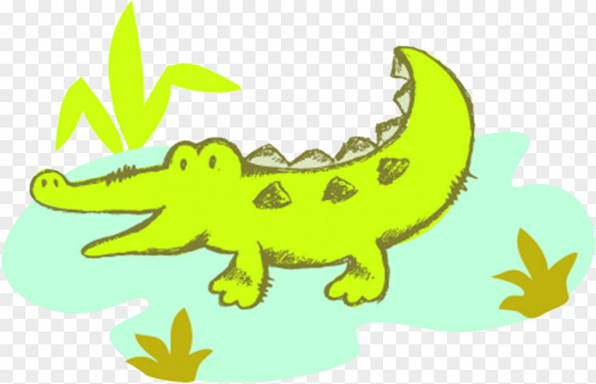 Crocodile Clips Cartoon Hippopotamus Illustration PNG