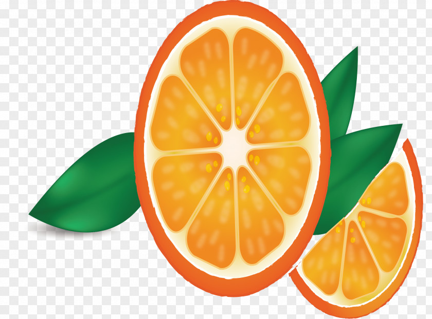 Fresh Orange Juice Lemon PNG