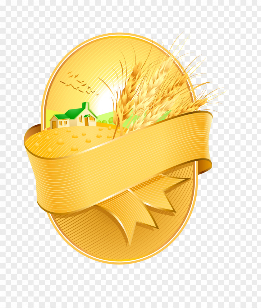 Golden Wheat Grains Harvest Ear PNG