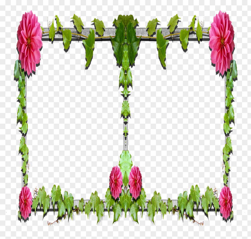 Hz Floral Design Garden Roses Cut Flowers Petal Plant Stem PNG
