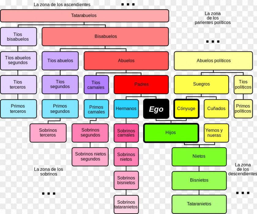 Organization Chart Paper Area Rectangle Square Meter PNG