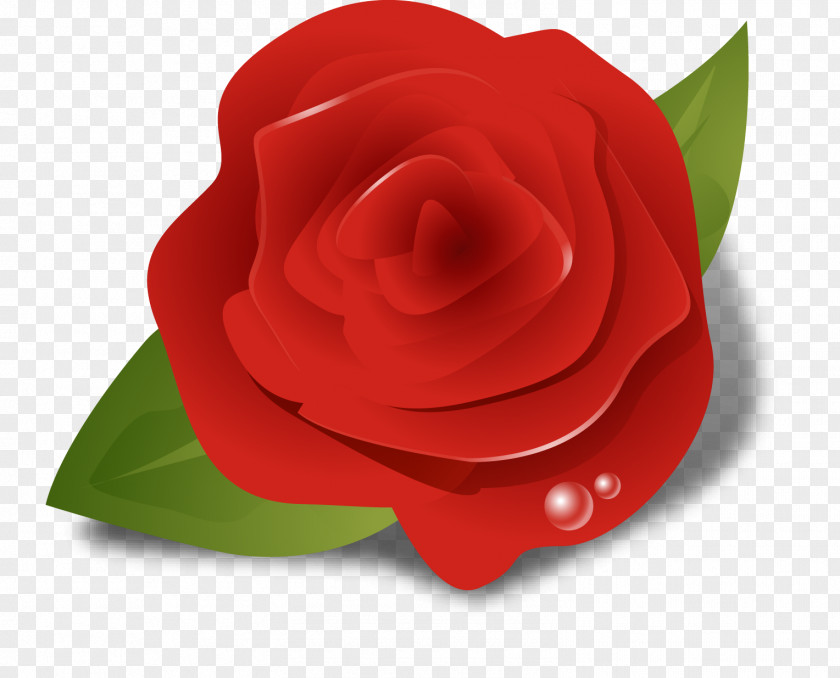 Rose 3D Vector Garden Roses Clip Art PNG