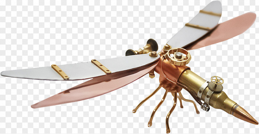 Creative Metal Dragonfly Insect Steampunk Sculpture Art Bullet PNG