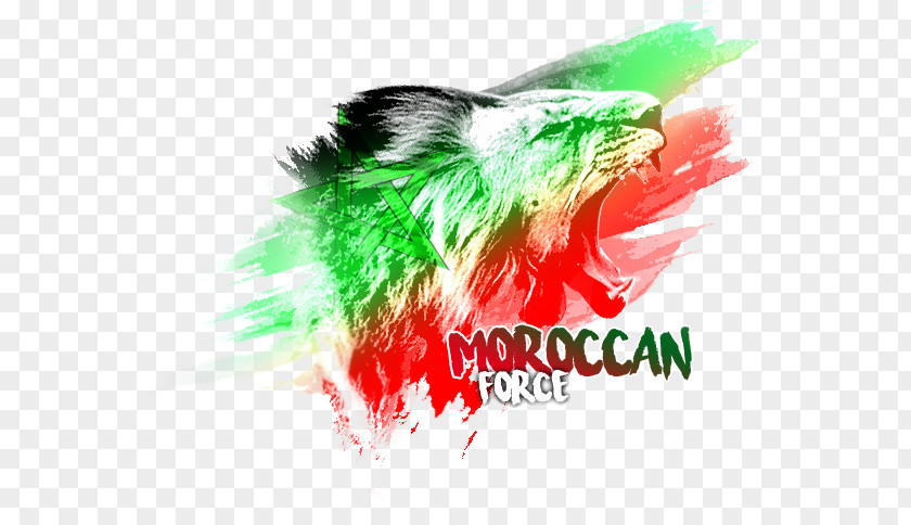 Morocco Team Moroccan Cuisine Gladiators #4 Desktop Wallpaper Club Deportivo Palestino PNG