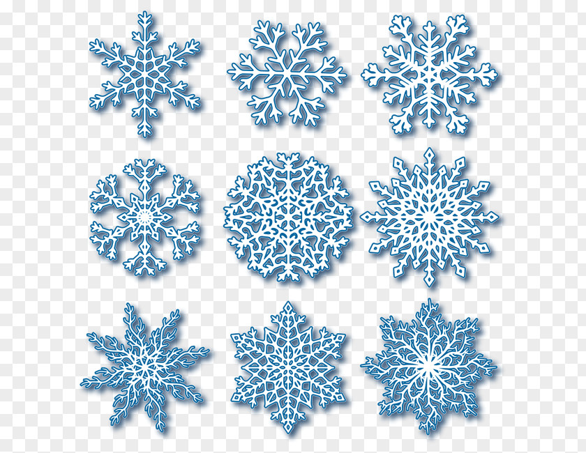 Snowflake Euclidean Vector PNG