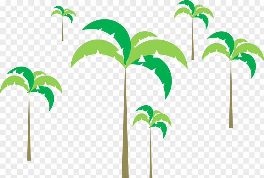 Coconut Arecaceae Tree Dadar Gulung Clip Art PNG