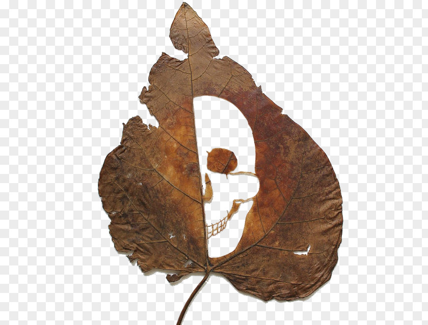 Cut Leaf Skull Artist Work Of Art Sculpture Carving PNG