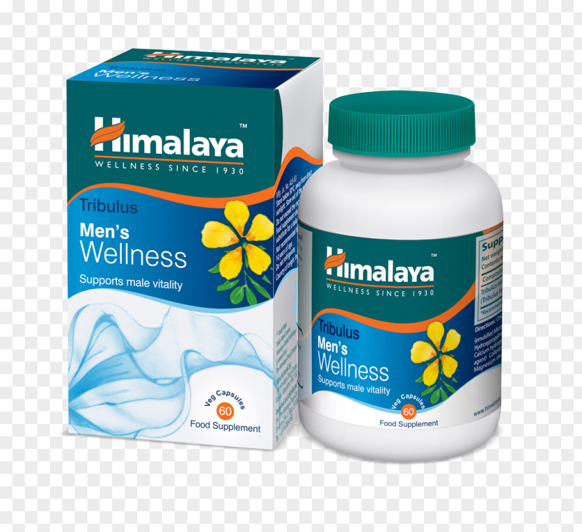 Health Dietary Supplement Himalayas Bindii Boerhavia Diffusa Health, Fitness And Wellness PNG