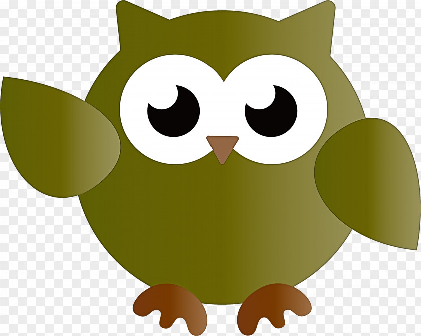 Owls Birds Beak Bird Of Prey Finches PNG
