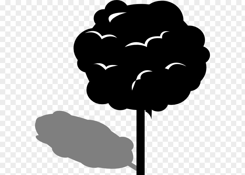 Shading Shade Tree Clip Art PNG