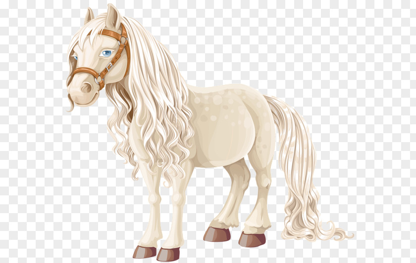 American Miniature Horse Pony Equestrian Clip Art PNG