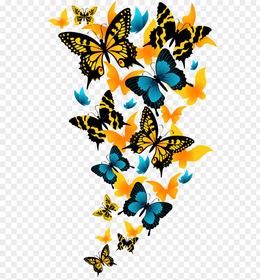 Butterfly Beautiful Clip Art Insect Monarch PNG