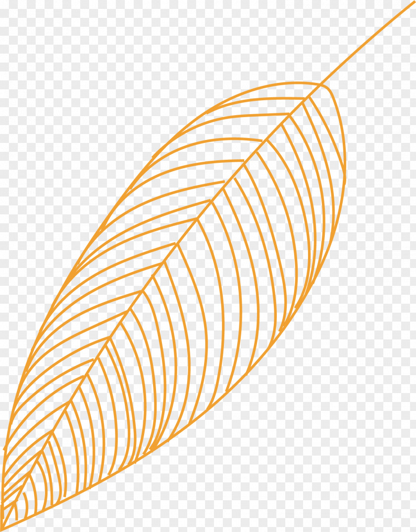Leaf Angle Line Font Meter PNG