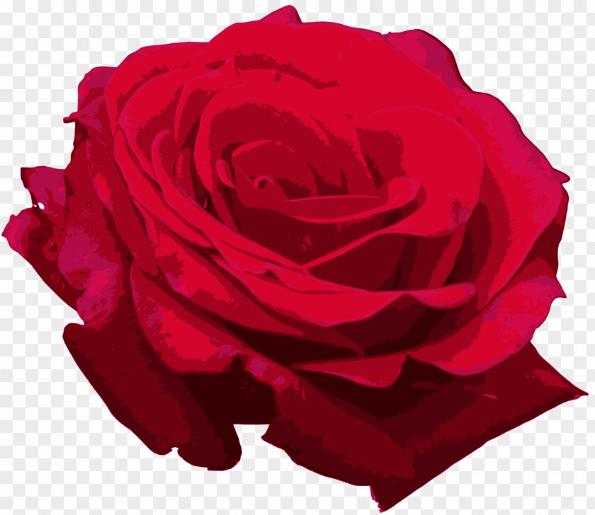 Red Centifolia Roses Flower Clip Art PNG