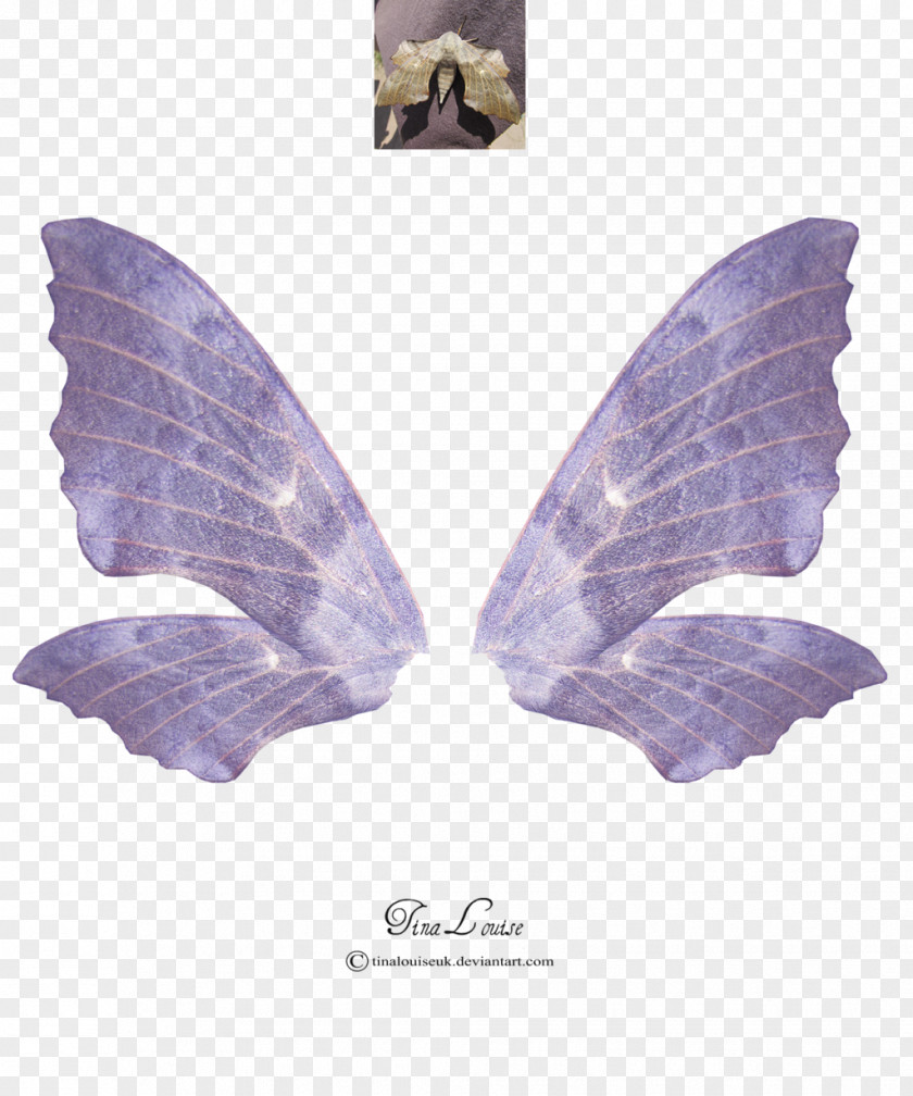 Wings Fairy Art Clip PNG