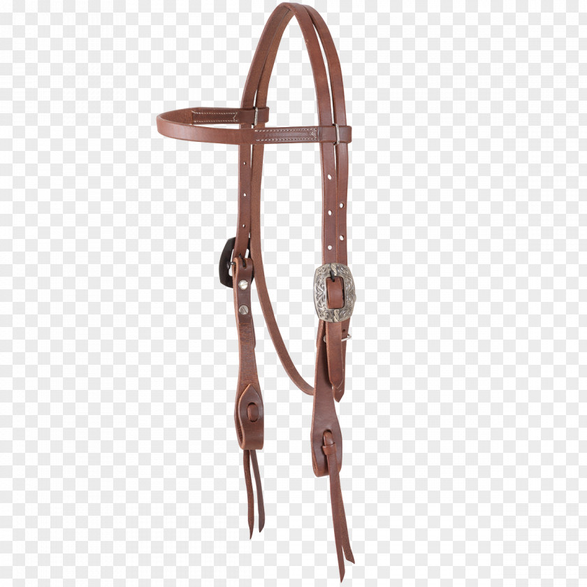 Cowboy Equipment Bridle Horse Tack Equestrian Saddle PNG