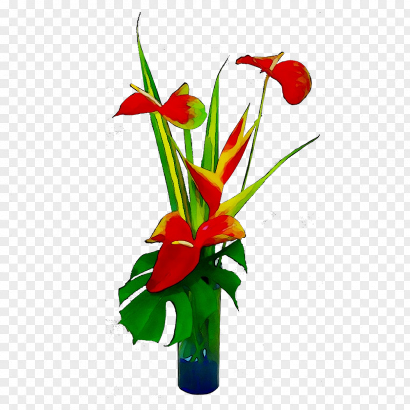 Floral Design Cut Flowers Flower Bouquet Tulip PNG