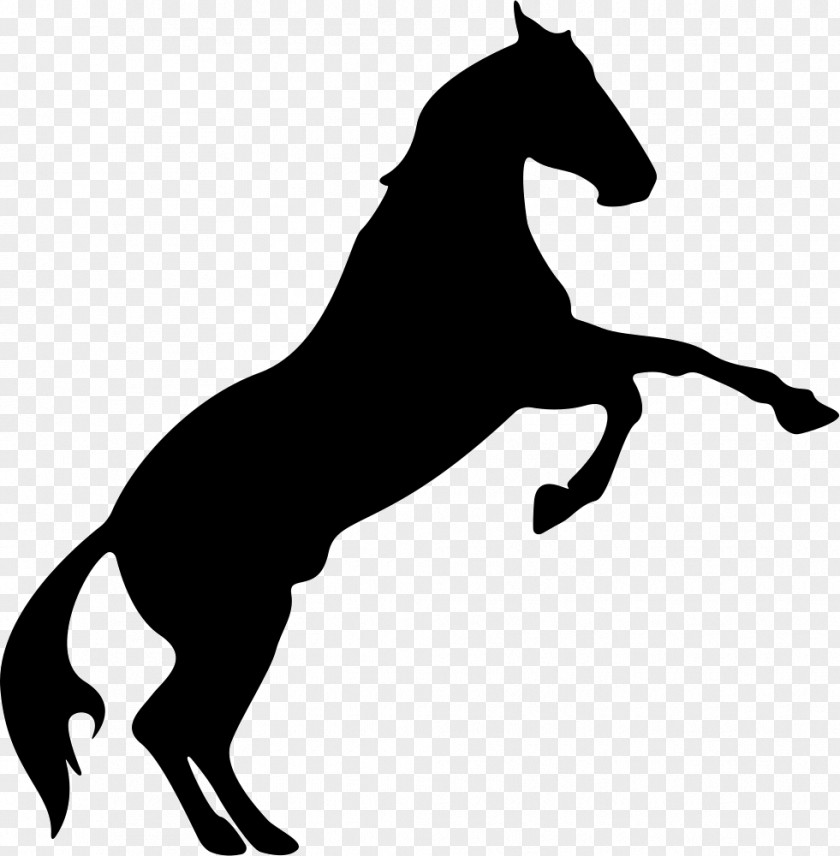 Horse Rearing Silhouette Vector Graphics PNG