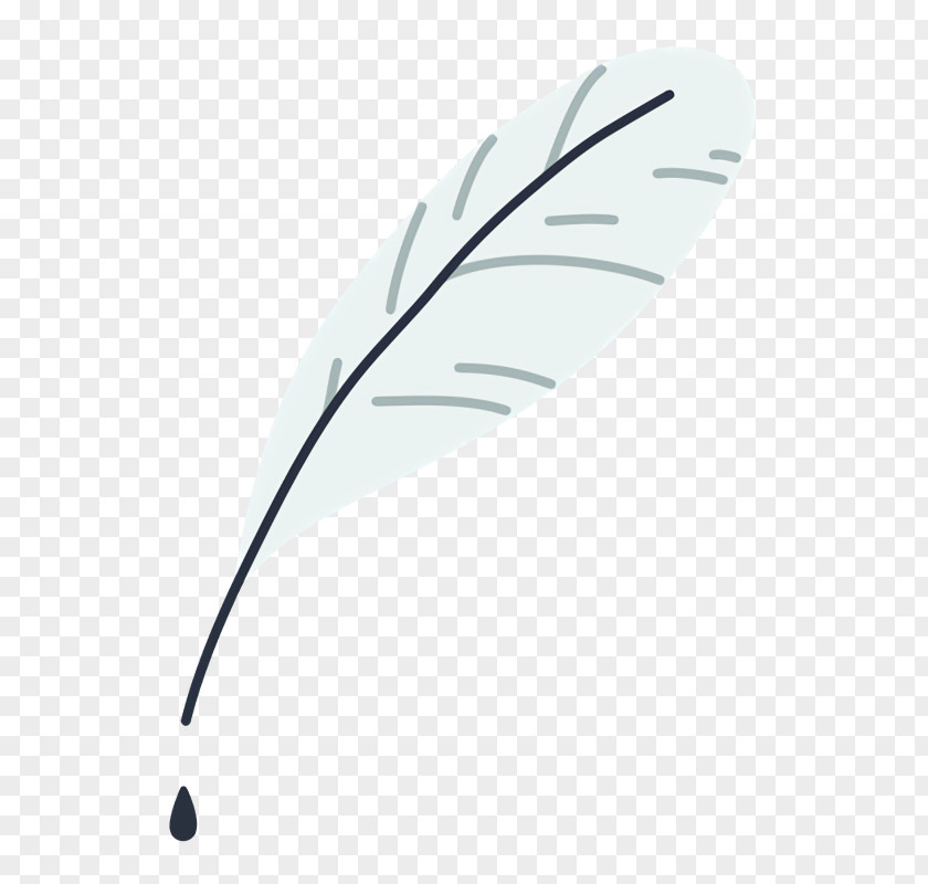 Feather PNG