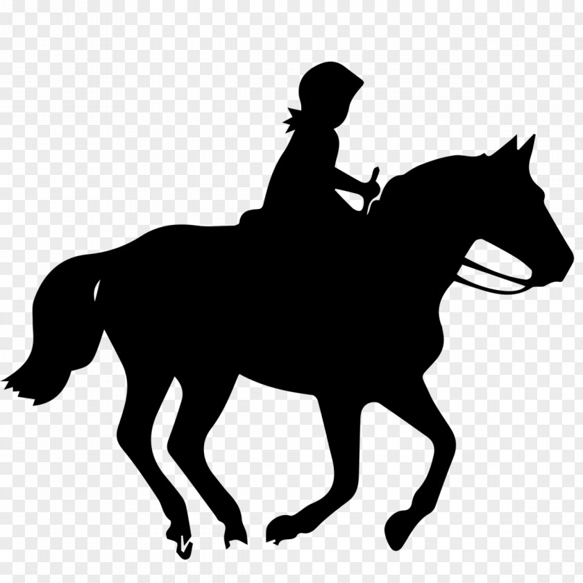 Horse Sport Equestrian Jockey Clip Art PNG