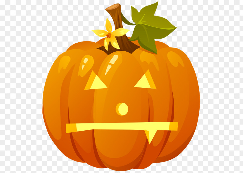 Pumpkin Jack-o'-lantern Halloween Drawing PNG