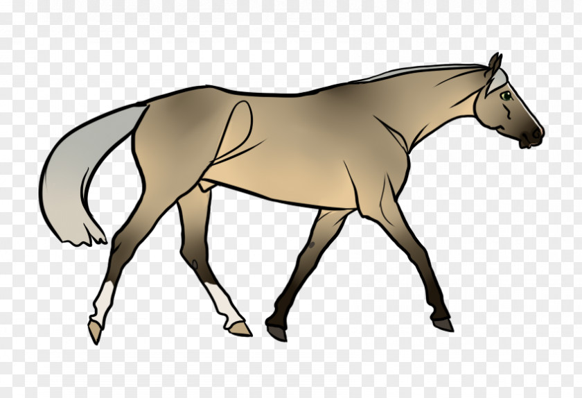 Shots Fired Art Mule Foal Stallion Mare Mustang PNG