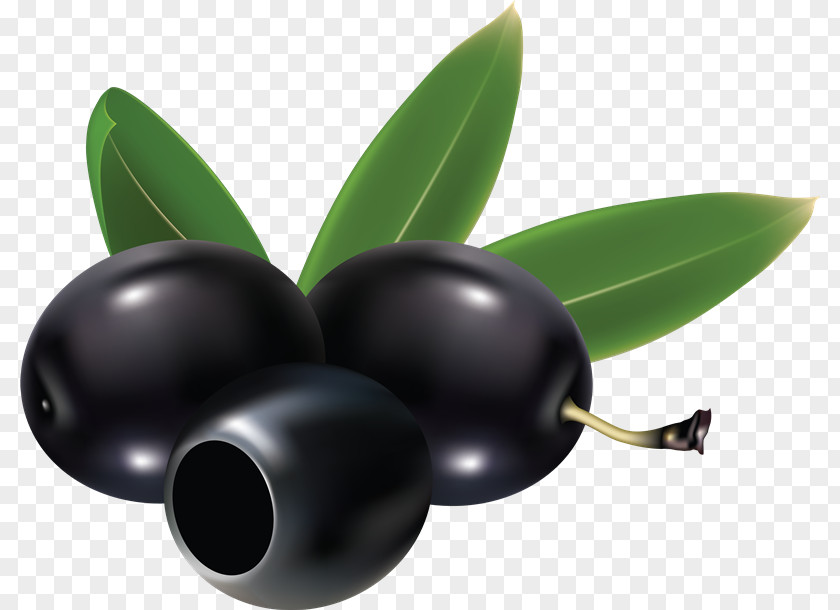 Aceituna Olive Clip Art PNG