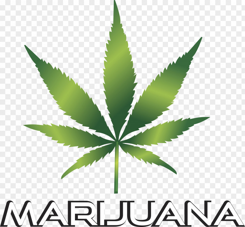 Cannabis Smoking Medical Clip Art PNG