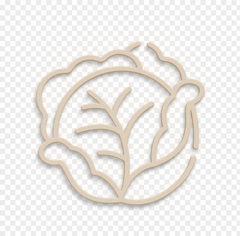 Fruits & Vegetables Icon Cabbage Food PNG