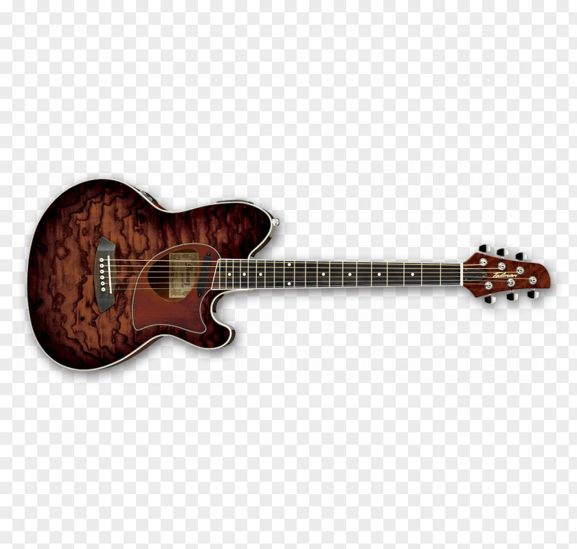 Guitar Ibanez Talman TCY10 Acoustic PNG