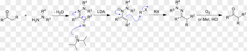 Mechanism Enders SAMP/RAMP Hydrazone-alkylation Reaction Lithium Diisopropylamide Enamine PNG