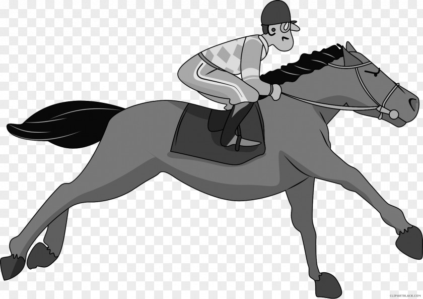 Meetings Horses Thoroughbred Horse Racing 2015 Kentucky Derby Jockey Clip Art PNG