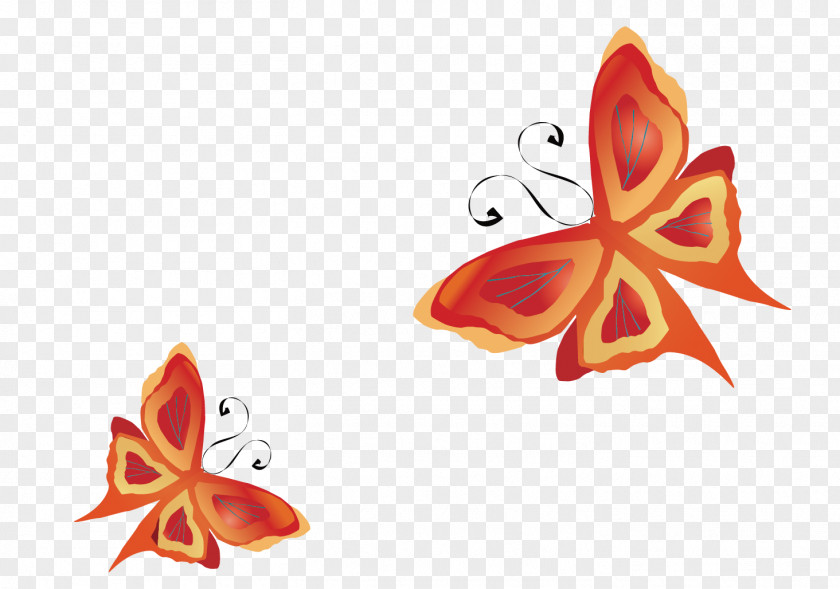 Vector Butterfly Insect Euclidean PNG