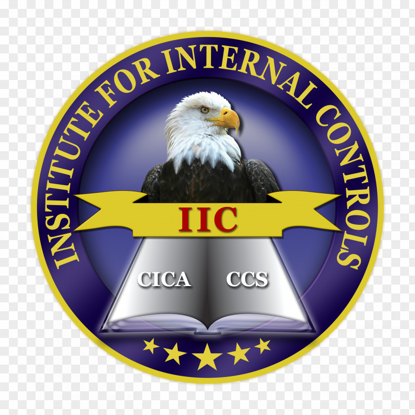 14 August Logo Certified Internal Control Auditors Audit Emblem PNG
