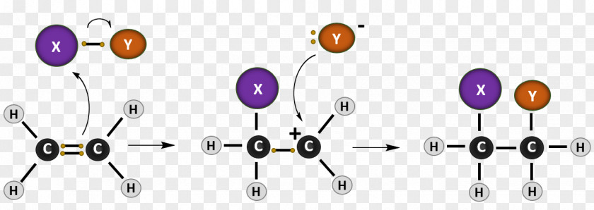 Addition Reaction Chemical Alkene Hydrohalogenation Hydrogenation PNG