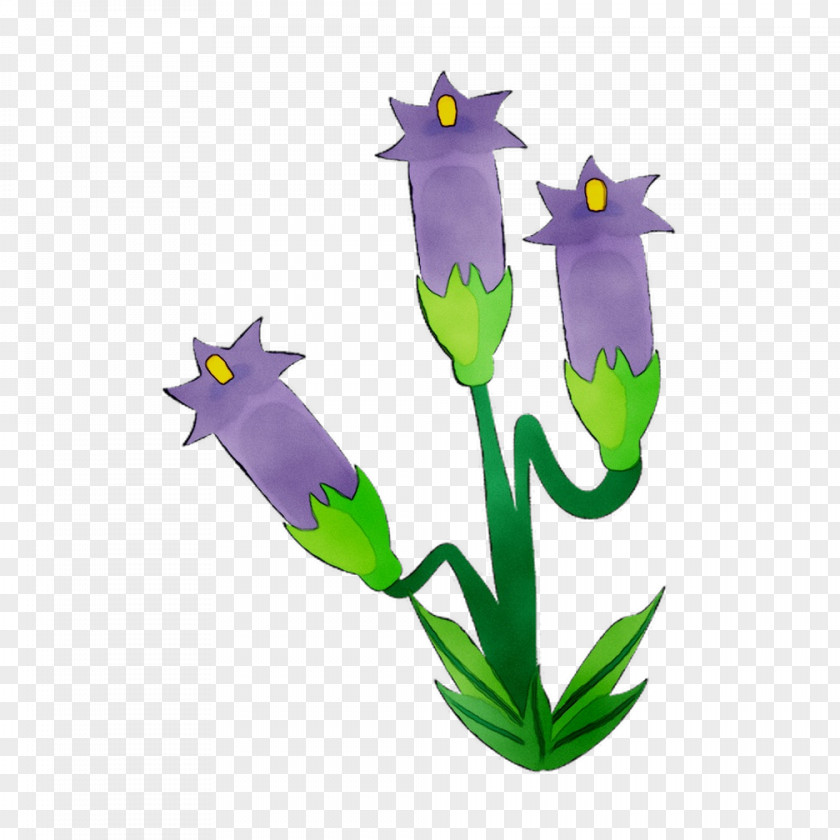 Flowering Plant Stem Purple Plants PNG