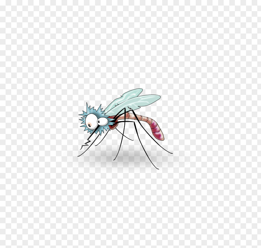 Interesting Mosquitoes Mosquito Insect Illustration PNG