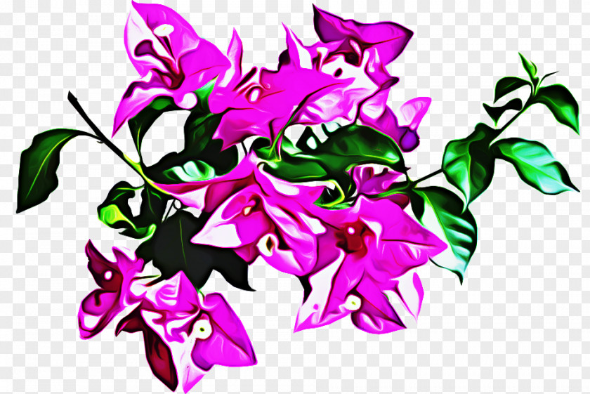 Petal Magenta Pink Flowers Background PNG