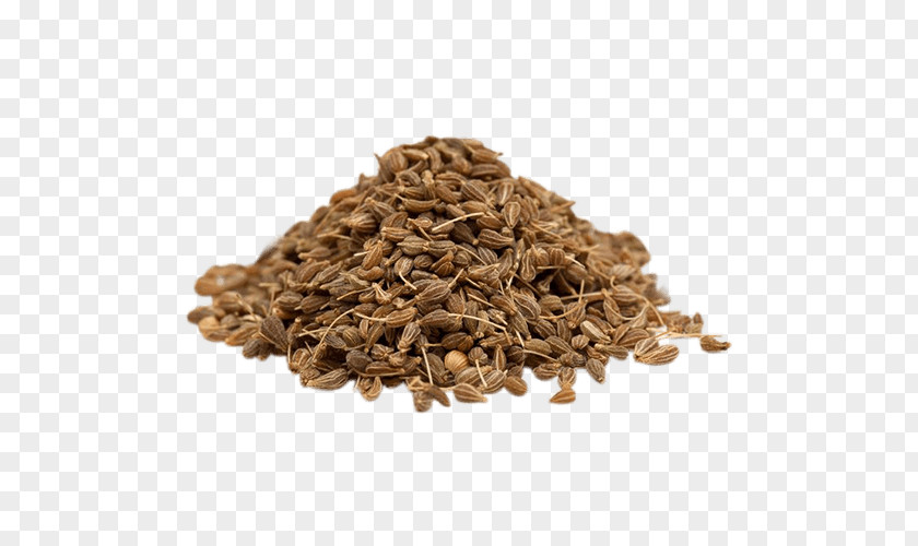 Seeds Anise Seed Fennel Spice Herb PNG